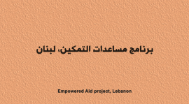 Screenshot of Animated video of Phase 2 Pilot Findings to mitigate SEA in Lebanon