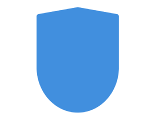 Shield icon